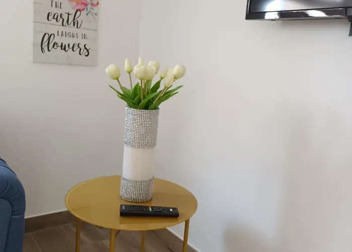 Luxury L&f Apartment *